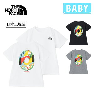 THE NORTH FACE UEm[XEtFCX T S/S ES Circulation Tee gh[V[gX[uC[GXT[L[VeB[ NTT32577 y gbvX TVc  LbY qǂ z  R hL UVK[