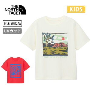 THE NORTH FACE UEm[XEtFCX S/S Sunshade Graphic Tee V[gX[uTVF[hOtBbNeB[ NTJ12560 y gbvX  TVc q LbY AEghA {Ki zy[ցE