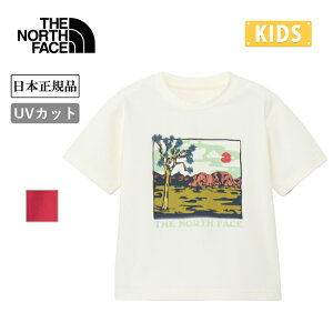 THE NORTH FACE UEm[XEtFCX T S/S Sunshade Graphic Tee gh[V[gX[uTVF[hOtBbNeB[ NTT12560 y gbvX  TVc q LbY AEghA {Ki zy