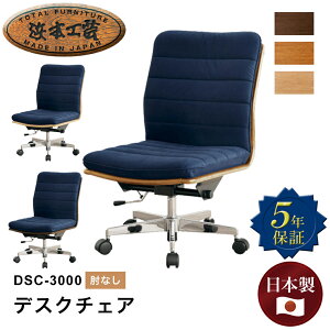 l{H| DSC-3000ֈ֎q fXN`FA IȂ ֎q I[NC [X v ] ]`FA LX^[ _[NI[N i`I[N JtFI[N  d ItBX ݑ[N 