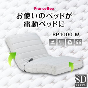 tXxbh dNCjO }bgX RP-1000W Z~_u SD 21cm xbh dxbh NCjO  rp1000 d}bg francebed 2[^[ wグ rグ bNX jbg