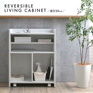 REVERSIBLE LIVING CABINET rO Lb` e RpNg JE^[[ ډB[ I I o[Vu LX^[ zCg ؖڒ Ԏd؂ 4FUL