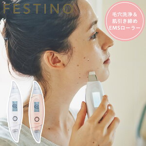 FESTINO tFXeBm s[O  `[WO tFCV EMS  XLPA SMHB-014 ̓