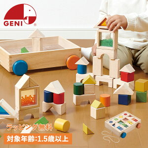 GENI WFj ςݖ fUC݂ 1Δ mߋ  ؂̂ GhC^[ GENI WFj j̎q ̎q 806395