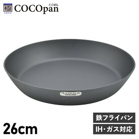 【クーポンで最大1000円OFF！5/1 10:59まで】 COCOpan ココパン フライパン プレミア 26cm IH ガス対応 鉄 リバーライト 極SONS C103-002 アウトドア