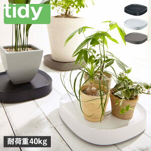 y ő1000~OFFN[|zz z tidy eBfB v^[X^h M  v^u  LX^[t PLANTABLE ubN zCg uE   OT-668-100