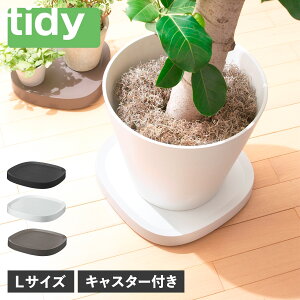 y ő1000~OFFN[|zz z tidy eBfB v^[X^h  M z[L[ v^u [W  LX^[t 傫 PLANTABLE L ubN zCg uE  OT