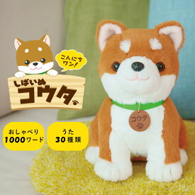 おしゃべりパートナー いっしょに脳トレ 音声認識人形 お話し おしゃべりロボット しゃべる おもちゃ 犬 ペット おしゃべり しばいぬコウタ 11-03-001