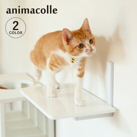 【最大1000円OFFクーポン発行 10/13 11:59まで】 アニマコレ animacolle キャットステップ キャットタワー 日本製 安全 壁付け 棚板 足場 猫 ねこ コンパクト DIY ホワイト クリア 白