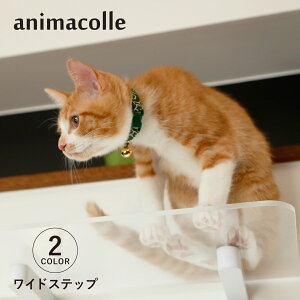 Aj}R animacolle LbgXebv Lbg^[ ChXebv { S Ǖt I  L ˂ RpNg DIY zCg NA 