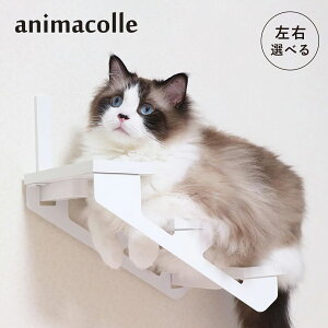 y ő1000~OFFN[|zz z Aj}R animacolle LbgXebv Lbg^[ Lbg_[ /E { S Ǖt I  L ˂ RpNg DIY zCg 