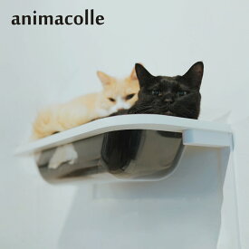 アニマコレ animacolle キャットステップ キャットタワー キャットバス 日本製 安全 壁付け 棚板 足場 猫 ねこ コンパクト DIY クリア 700032