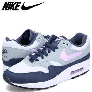 NIKE AIR MAX 1 iCL GA}bNX1 Xj[J[ Y O[ FD9082-001