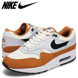 y ő1000~OFFN[|zz z NIKE AIR MAX 1 iCL GA}bNX1 Xj[J[ Y IW FN6952-101