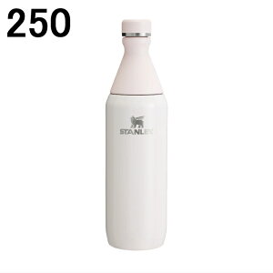 yő100%|CgobN9聦vGg[zX^[ STANLEY U I[fC X {g THE ALL DAY SLIM BOTTLE 20 OZ 591ml 10-12069 249(N[OX) 250([YNH[cOX) 251(ubN