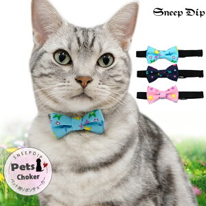  {`[J[(ybgpցj lN^C L  lR Ck ^  킢 ap v[g {  X^[ TbNX sN lCr[  `[J[ Zu 