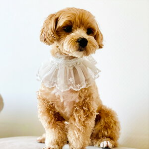  [XX^Ciybgpj [X t xr[X^C 悾ꂩ [X hJ L  lR Ck ^ ю 킢 ap v[g ybgp ybgpi SneepDip XJ[t