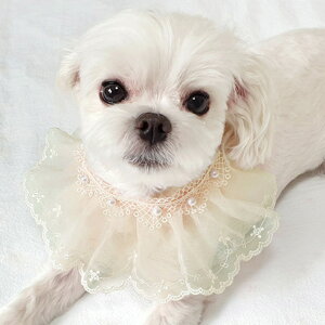  [XX^Ciybgpj [X t xr[X^C 悾ꂩ [X hJ L  lR Ck ^ ю 킢 ap v[g ybgp ybgpi SneepDip XJ[t