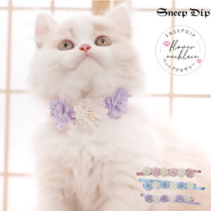  t[ANZT[(ybgp)  t[ y lbNX `[J[ { oCJ[ zF L  lR Ck ^ 킢 ap v[g ybgp ybgpi 