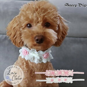  2WAY[XANZiybgpj ybg pi p Lp lR Ck  hbO J`[V wAoh wbhANZ lbNX `[J[ [X {  ANZT[ 킢