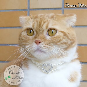  p[n[glbNXiybgpj L  lR Ck ^ ap v[g ybgp n[g LL Vo[  `[J[ WG[ LLrW[ ˂ 