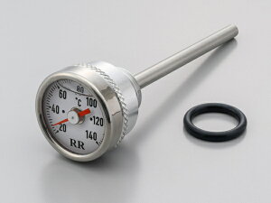 32673 DAYTONA fCgi RRfBbvXeBbNv zCg GB350/S('21`'22)