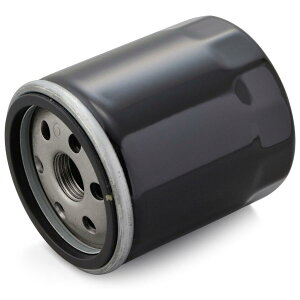 35046 DAYTONA fCgi vCXICtB^[Ɩp10 ʂNo.F-28