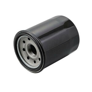 35203 DAYTONA fCgi vCXICtB^[Ɩp10 ʂNo.F-09