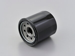35206 DAYTONA fCgi vCXICtB^[ Ɩp10 F-21