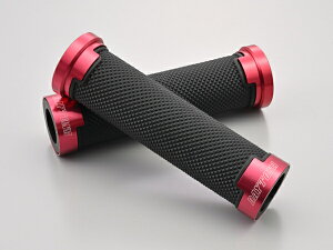 38491 DAYTONA fCgi GRIPPYGRIP Obs[Obv GG-D-AL-BASE bh