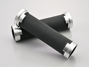 38497 DAYTONA fCgi GRIPPYGRIP Obs[Obv GG-D-AL-BASE Vo[