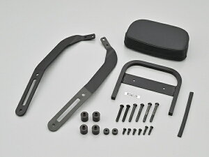 38522 DAYTONA fCgi obNXgLbg ELIMINATOR/SE }bgubN