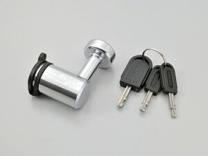 31255 fCgi DAYTONA fBXNbN XgK[`F[bNɕtfBXNbN̕Ci