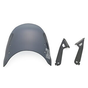 46261 DAYTONA fCgi AerovisoriGAoCU[jԎʃLbg GB350C X[N