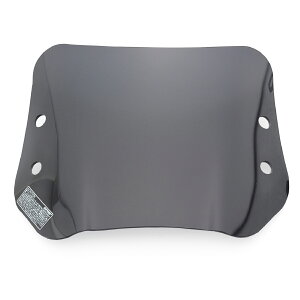 92354 DAYTONA EChV[hSS ԎʃLbg DIO110iJF58jp