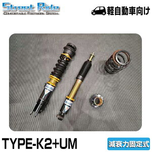 C/ԍ/Xg[gCh/TYPE-K2+UM(^CvUMt)/f/͌Œ莮/SR(H29/2`)/^MH55S /(SR-S515-UM-1)