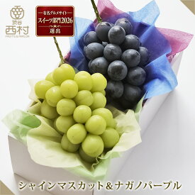 [ぶどう2種合計約1000g]高級ぶどう2種食べ比べセット シャインマスカット ナガノパープル お祝い フルーツ ギフト 果物 詰め合わせ 高級フルーツ フルーツ詰め合わせ 御供 プレゼント 内祝 誕生日 お見舞い 贈り物