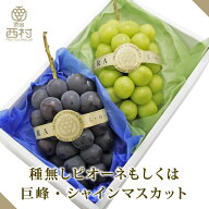 [ぶどう2種合計約1000g・指定日配送可]高級ぶどう食べ比べセット シャインマスカット 種なしピオーネもし…