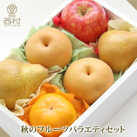 秋のフルーツバラエティセット お歳暮 御歳暮 フルーツ ギフト 果物 詰め合わせ 高級フルーツ 渋谷西村 フルーツ詰め合わせ お供え 御供 プレゼント 内祝 誕生日 お見舞い 高級 贈答用 贈り物 贈答品 引越祝 退院祝 手土産 志 旬のフルーツ 南水梨