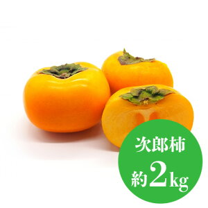 ` Iׂi d 1kg 2kg 3kg j ʕ lߍ킹 t[c aJ YnI  t[cMtg  䋟 v[g j a    蕨 zj މ@