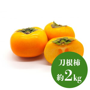 �` �I�ׂ�i�� �d�� 1kg 2kg 3kg ���j�� �ʕ� �l�ߍ��킹 �����t���[�c �a�J���� �Y�n���I �������� �t���[�c�M�t�g ������ �䋟 �v���[���g ���j �a���� �������� ���� ���� ���蕨 ���z�j �މ@