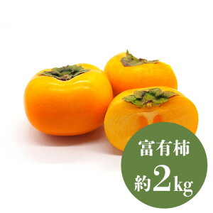 ` Iׂi d 1kg 2kg 3kg j ʕ lߍ킹 t[c aJ YnI  t[cMtg  䋟 v[g j a    蕨 zj މ@