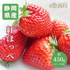 gق 1pbN j t[c Mtg ʕ lߍ킹 t[c aJ YnI  t[cMtg  䋟 v[g j a    蕨 zj