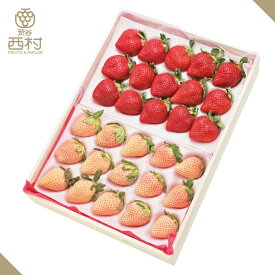 【予約商品】2色いちご詰め合わせ あまおう×淡雪 木箱入り お祝い 渋谷西村 西村 詰め合わせ フルーツギフト フルーツ ギフト お供え 御供 プレゼント 内祝 誕生日 お見舞い 祭事 果物 高級フルーツ 高級 贈り物 贈答用 贈答品 引越祝 快気祝 退院祝 手土産