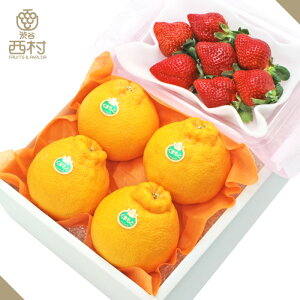 <大人気>デコポン&あまおういちご詰め合わせ お祝い 渋谷西村 西村 フルーツギフト フルーツ ギフト お供え 御供 プレゼント 内祝 誕生日 お見舞い お祭り 祭事 果物 高級フルーツ 高級 贈