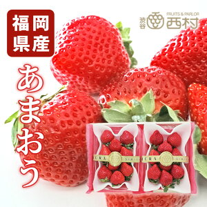 y\tz܂  j aJ t[cMtg  䋟 v[g j a  Ղ Վ ʕ t[c  p i zj Cj މ@j 