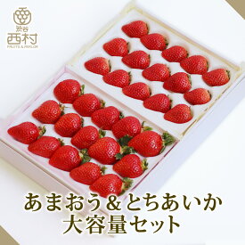 【予約商品】あまおう＆とちあいか大容量セット 合計30粒（各15粒） お祝い フルーツ ギフト 果物 詰め合わせ 高級フルーツ 渋谷西村 産地厳選 送料無料 フルーツギフト お供え 御供 プレゼント 内祝 誕生日 お見舞い 高級 贈答 贈り物 引越祝 退院祝