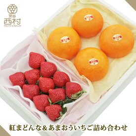 【予約商品】紅まどんな&あまおういちご お歳暮 御歳暮 フルーツ ギフト 果物 詰め合わせ 高級フルーツ 渋谷西村 西村 フルーツ詰め合わせ フルーツギフト お供え 御供 プレゼント 内祝 誕生日 お見舞い お祭り 祭事 高級 贈答用 贈り物 贈答品 引越祝 退院祝