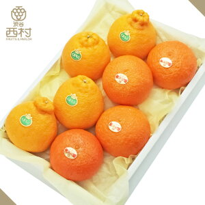 g܂ǂ&fR|lߍ킹 Ε Ε t[c Mtg ʕ lߍ킹 t[c aJ  t[clߍ킹 t[cMtg  䋟 v[g j a 