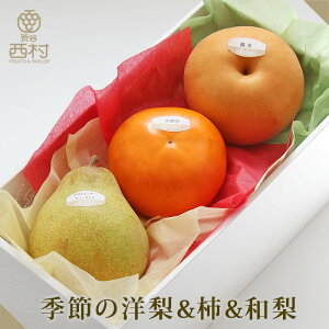 G߂̗m`alߍ킹 Ε Ε t[c Mtg ʕ lߍ킹 t[c aJ t[clߍ킹  䋟 v[g j a  p 蕨 